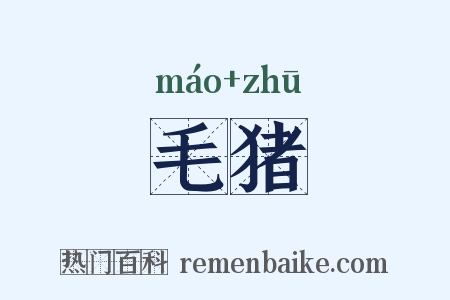 毛猪是什么意思的图片